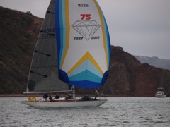 NC310111