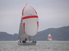 NC310114