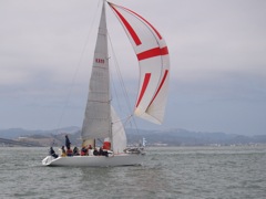 NC310131