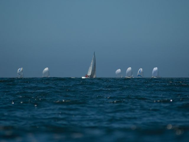 DSC_0050-3