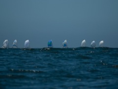DSC_0054-3