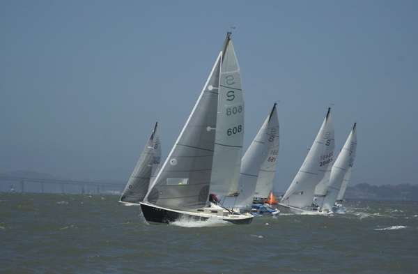 DSC_0246