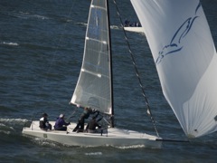 NC270219