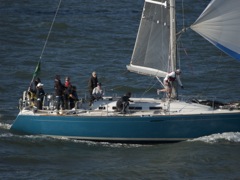 NC270231