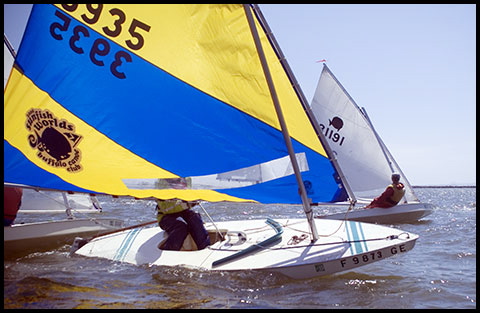 0029sunfish