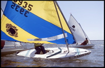 0029sunfish