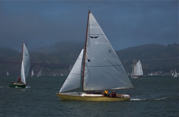 Oriole-0584