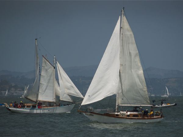 NC242669