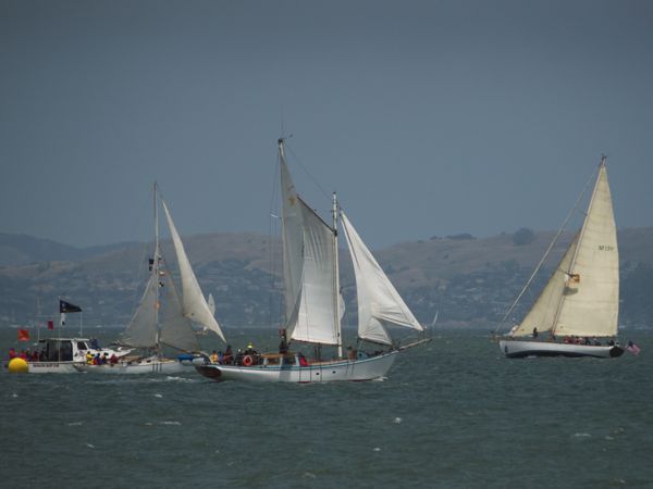 NC242672