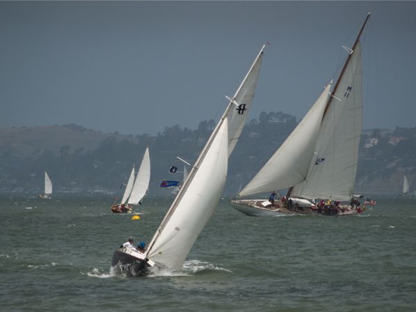 NC242681