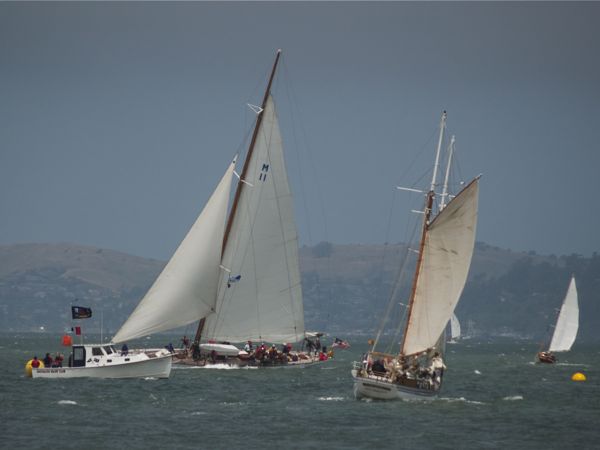 NC242686