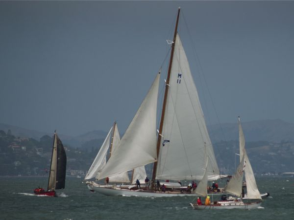 NC242688