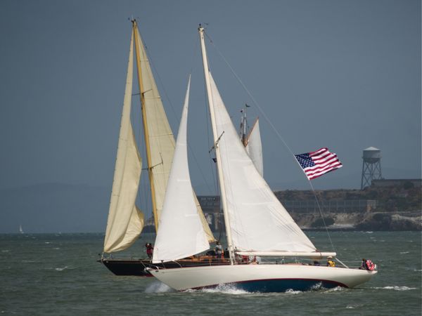 NC242695