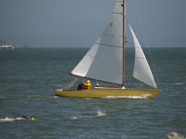 Oriole-swimmers-2601