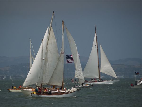 NC242709