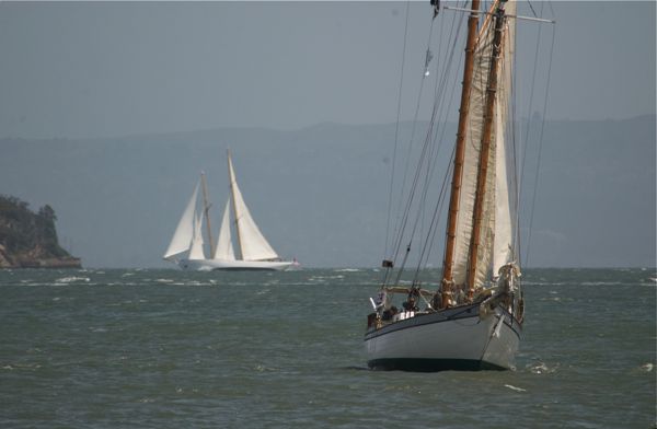 DSC_0631