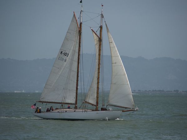 Yankee-2716