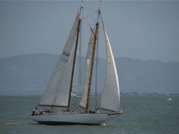 Yankee-2717