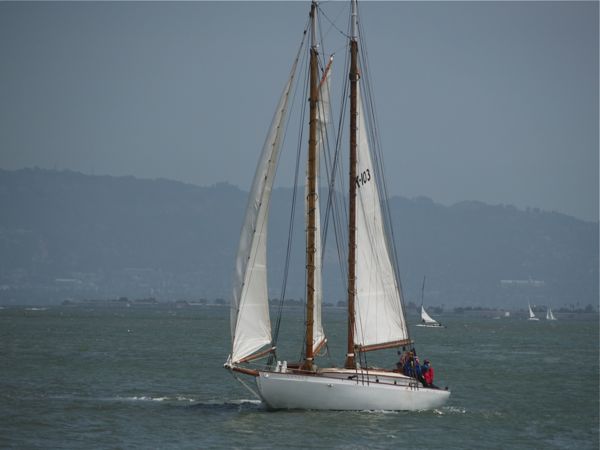Yankee-2719