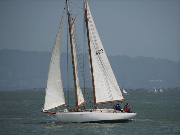 Yankee-2720