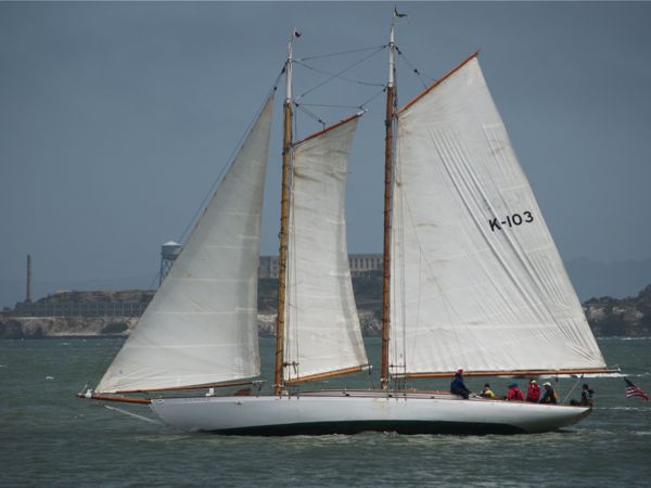 Yankee-2726