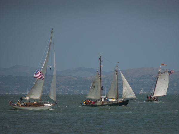 NC242748