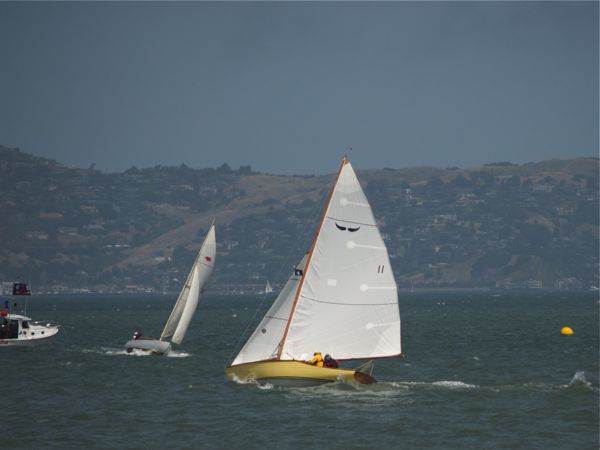 Oriole-2616