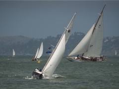 NC242681