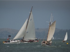 NC242686