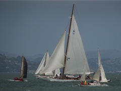 NC242688