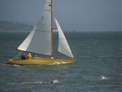 Oriole-swimmers-2600