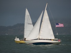 NC242699