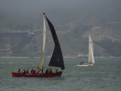Viking-2703