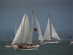 NC242709