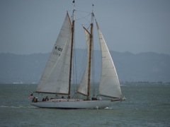 Yankee-2716
