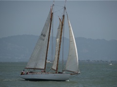 Yankee-2717