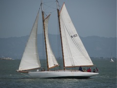 Yankee-2721