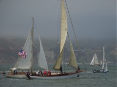NC242739