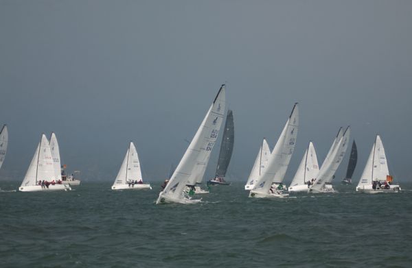 DSC_0442