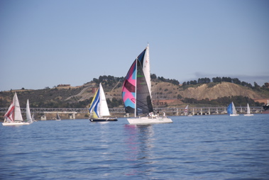 DSC_2442