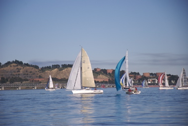 DSC_2451