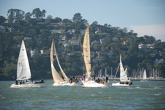 DSC_1784