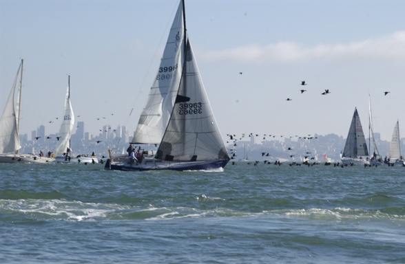 DSC_2904