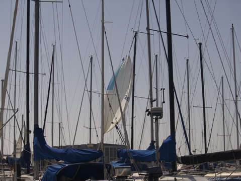 NC020109