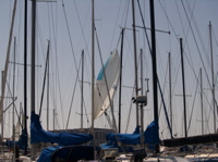 NC020109