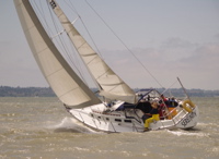 NC030246