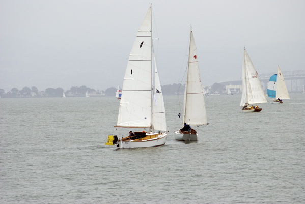 DSC_4555