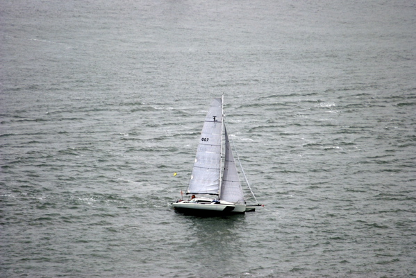 DSC_3949