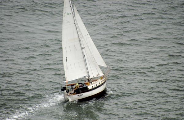 DSC_4084