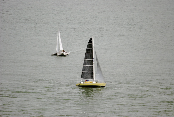 DSC_3952